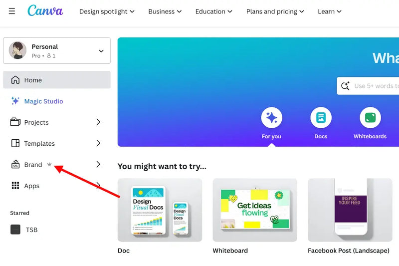 Canva pro with Brandkit and canva ai features (Per Year)